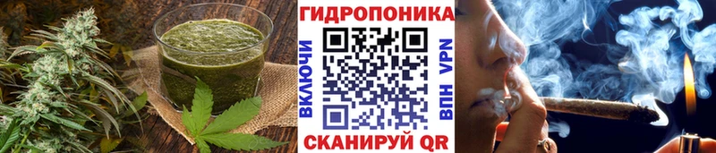 Печенье с ТГК конопля  Купить где  Кингисепп 