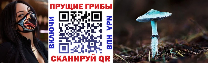 Псилоцибиновые грибы прущие грибы  Купить где  Кингисепп 