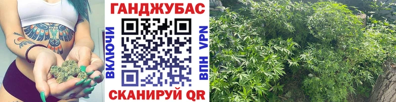 Шишки марихуана конопля  Купить где  Кингисепп 